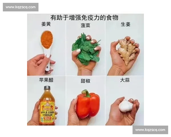 围绕营养补给优化身体机能与提升日常健康水平的科学策略