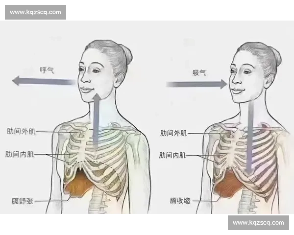 呼吸控制技巧与身心协调提升方法全解析
